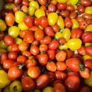 호평요양병원 이미지