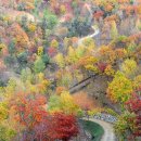 양평수목 이미지