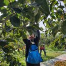 사천강1길 이미지