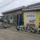 하하여행주 이미지