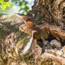 화북면보건지소 이미지