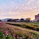 다시면행정복지센터 이미지