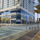 코아루 애견 이미지