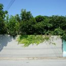 소안초등학교1 이미지