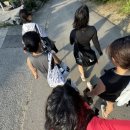 내마음속작은다락방 이미지