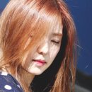 갈색머리 - 안산시 상록구 | 갈색머리