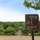 광기천 | 유관순 열사 순국 100주년: 랜선으로 떠나는 천안여행