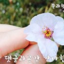 루카루카조례점 이미지