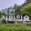 매헌로 이미지