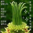 1월13일 금요일 창원방 출석부 이미지