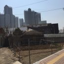 수원-0328 네이버블로그