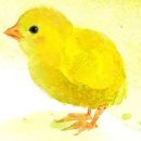 곡성-184 이미지