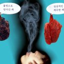 병주고 약주는 금연정책(禁煙政策)에 대한 충고 이미지