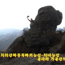 독바위 이미지