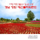 대산명소 이미지