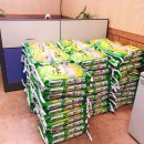 영흥면 영흥교회 이미지