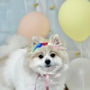 멍멍1길 23 이미지