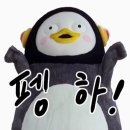 안동돼지국밥 이미지