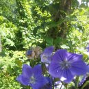 선택농장 이미지