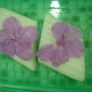 성아유치원 이미지