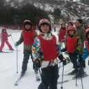 대마초등학교 이미지