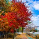 청계산수변공원 이미지