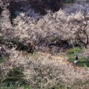 와촌농협 이미지