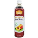 파낙스코리아