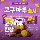 해태아이스크림 | 신상 아이스크림 후기! 해태 고구마루 솔직 리뷰 (호두마루 동생 등장)