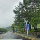 풀코당구장 | 웰리힐리 리조트 &amp; 가족여행지추천