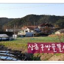 개나리꽃민박 이미지