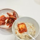 리애 영양죽 1인분 | 영양죽 성산봄 냉동 완제품죽 4종 아침식사대용 추천