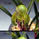 홍복 이미지