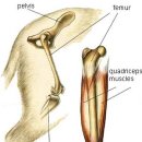 앙리동물병원 이미지