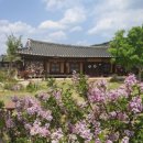 영감댁민박 이미지