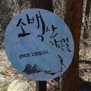 홍익인삼사