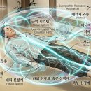 제1부 2장 이미지