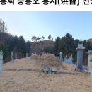 홍지선생 묘 이미지