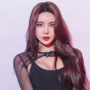 예송 일간스포츠