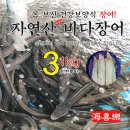 바다장어 이미지
