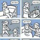 858011 이미지