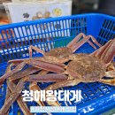 부산 기장대게 맛집 청해왕대게 기장시장