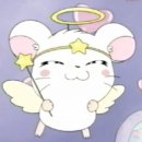 공칠일공