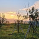 기쁨뜨락농장 이미지