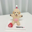 테이스팅독 이미지