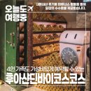 호텔 딘 | [타이베이 4인 숙소] 후아 샨 딘, 가족 여행에 딱 좋은 가성비 호텔