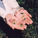 블루버니 이미지