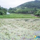 회남면 법수리마을 이미지