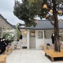 고매로 | 분위기 좋은 동탄 한옥카페 고매커피 애견 동반 방문 후기