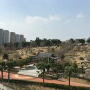 신암공원 이미지